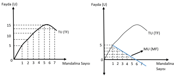 2020/marjinal-fayda